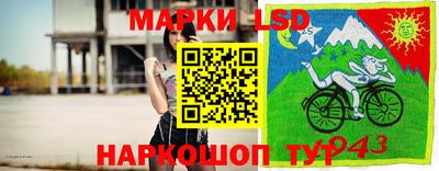 ПСИЛОЦИБИНОВЫЕ ГРИБЫ Гусев
