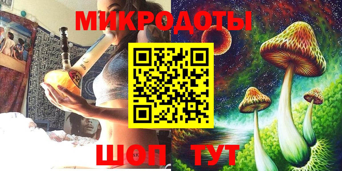 Галлюциногенные грибы Psilocybe Медногорск